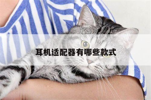 B体育官网：耳机适配器有哪些款式
