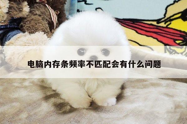 Bsprots官网登录：电脑内存条频率不匹配会有什么问题